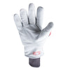 Chrome SLT® Winter 4064IMPW (Dozen)