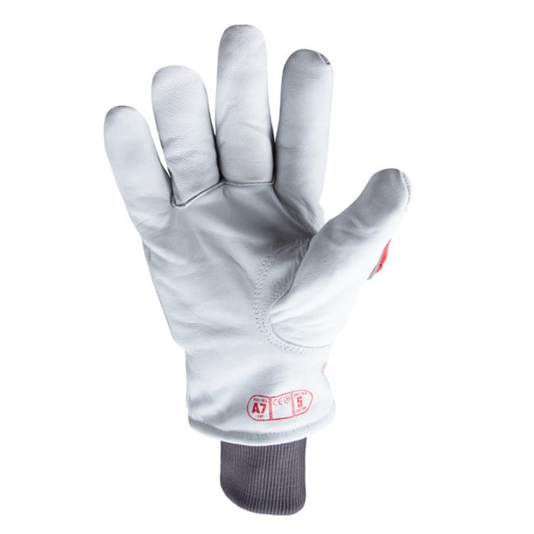 Chrome SLT® Winter 4064IMPW (Dozen)